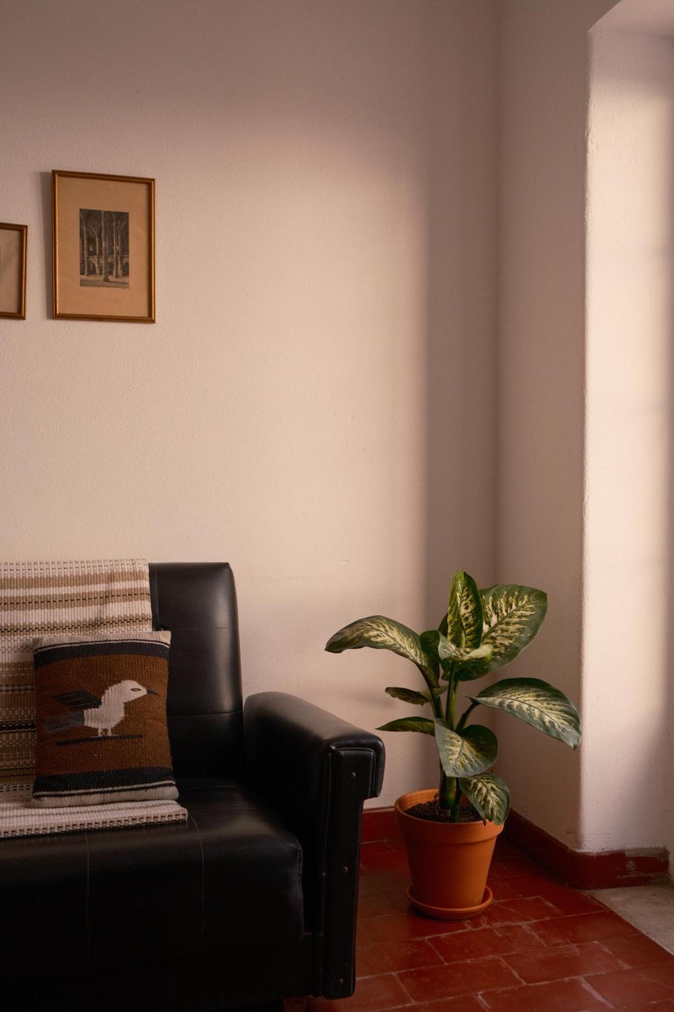 Manas Coliving Apartment Sines Exterior photo